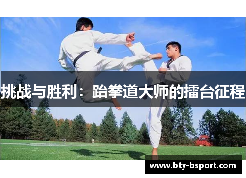 挑战与胜利：跆拳道大师的擂台征程